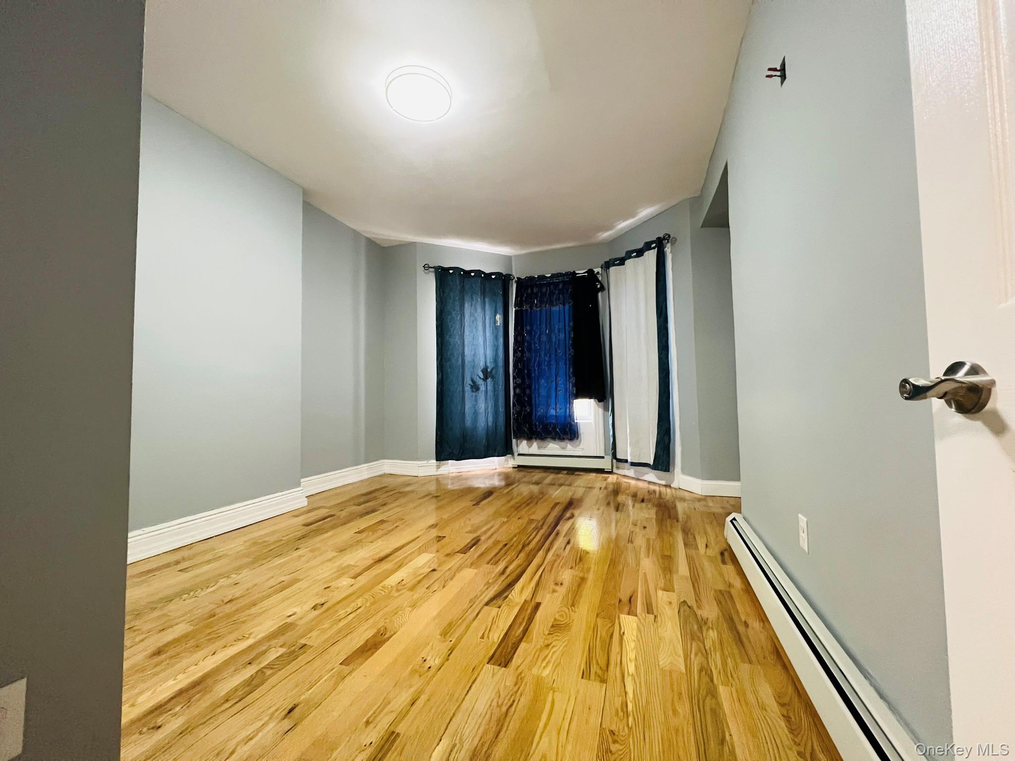 165 chestnut street, Brooklyn, NY 11208