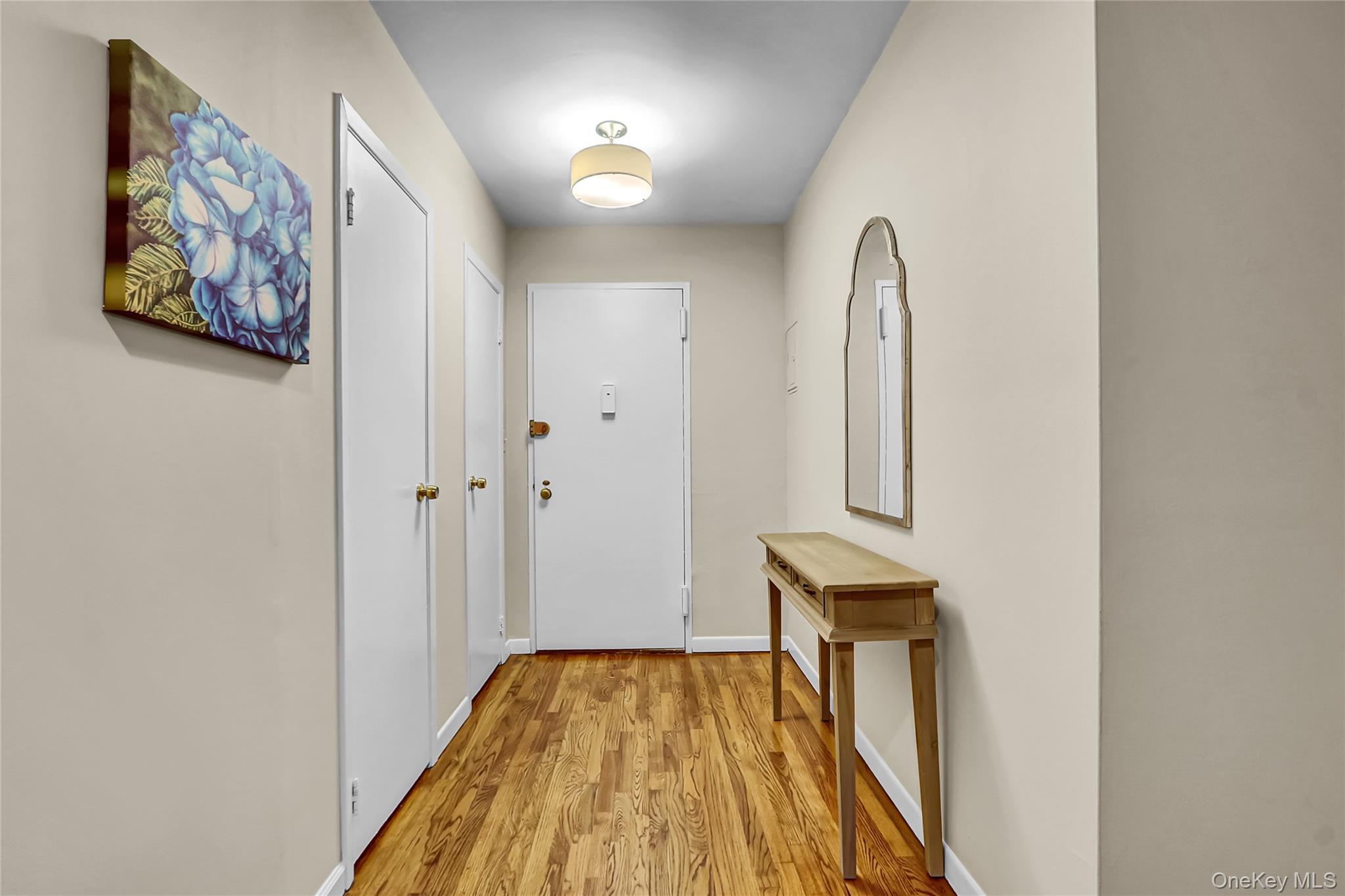 30 Daley Place # 247, Lynbrook, NY 11563