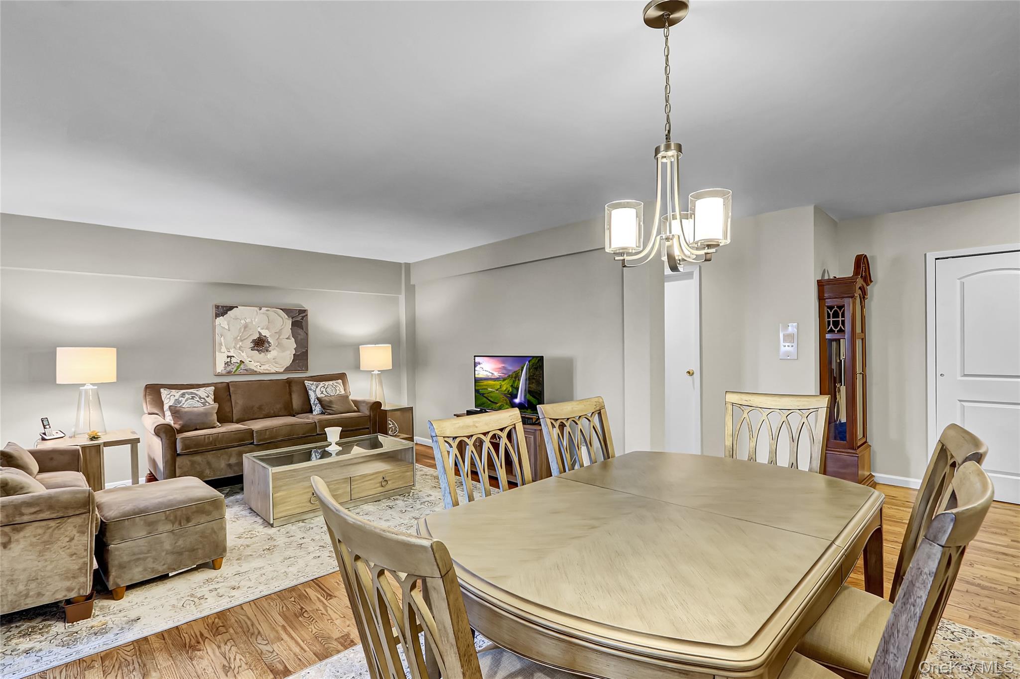 30 Daley Place # 247, Lynbrook, NY 11563