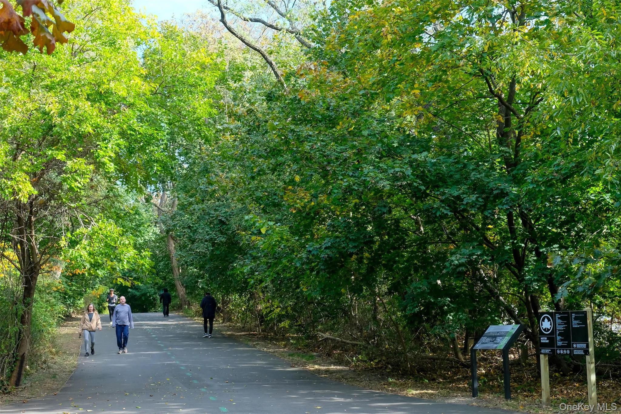 224-65 Kingsbury Avenue # B, Bayside, NY 11364