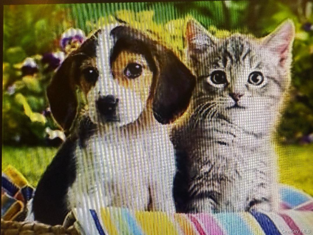 224-65 Kingsbury Avenue # B, Bayside, NY 11364