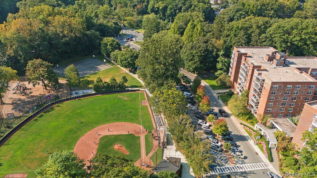 178 Garth Road # TL, Scarsdale, NY 10583