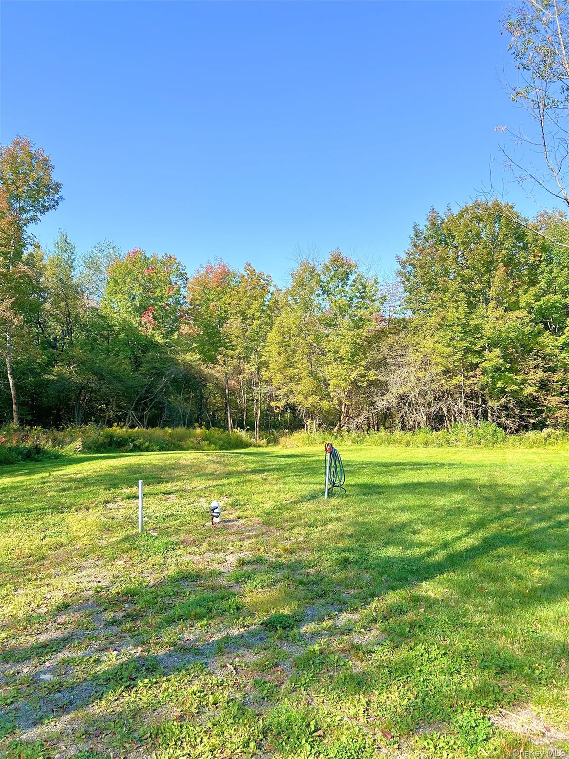 2155 Ed Klug Road, Franklin, NY 13775