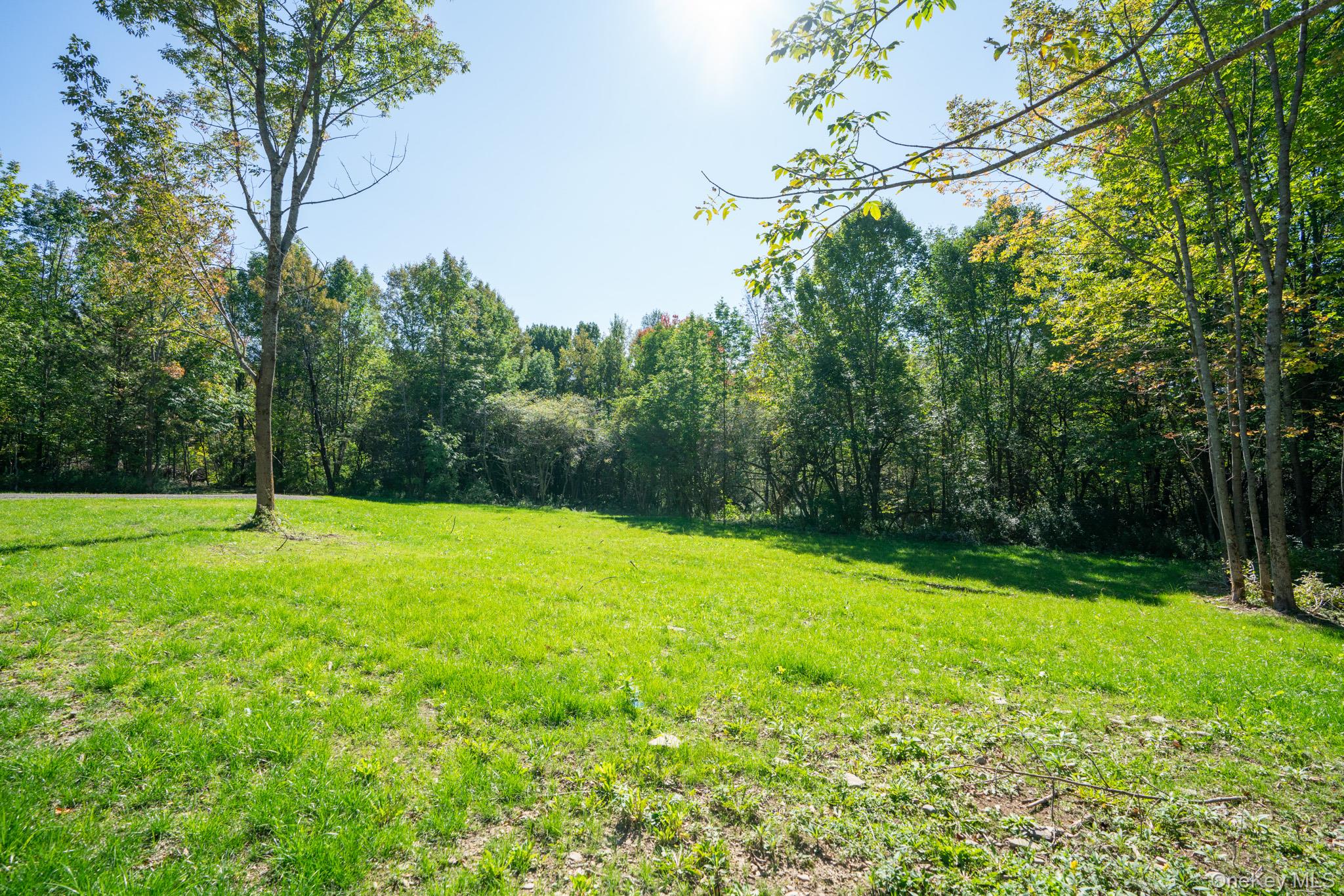 2155 Ed Klug Road, Franklin, NY 13775