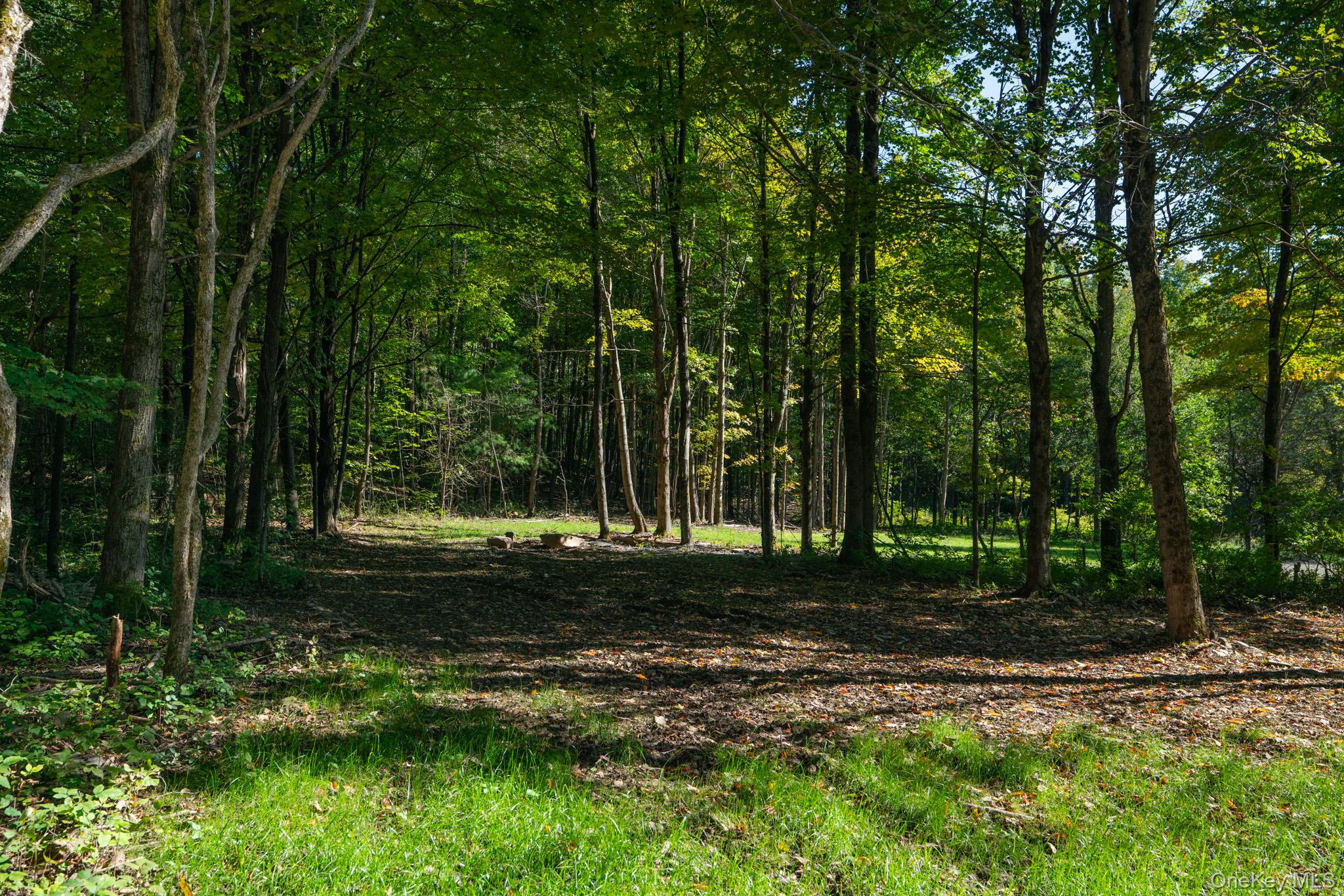 2155 Ed Klug Road, Franklin, NY 13775