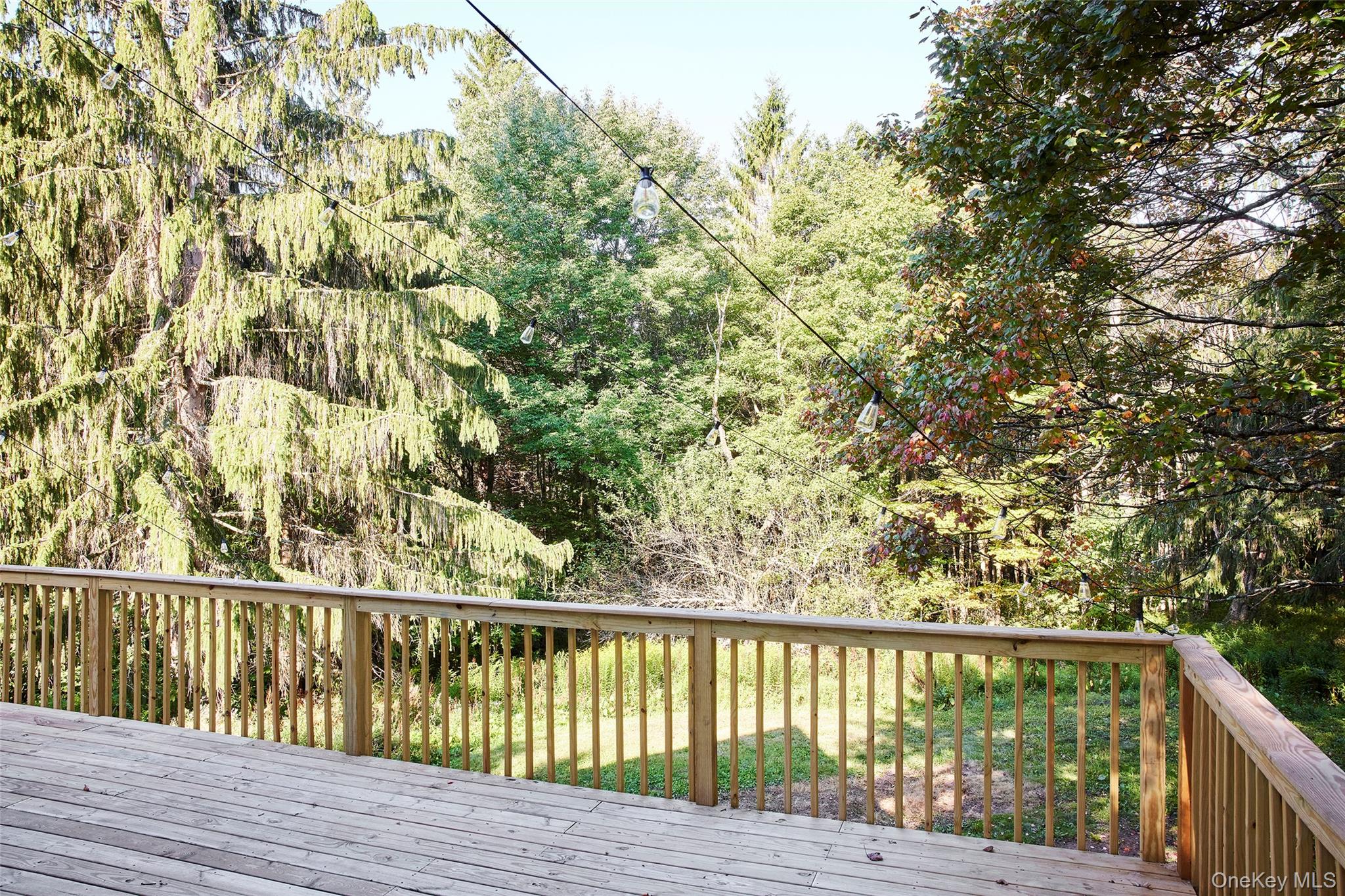 235 Wedemeyer Road, Downsville, NY 13755