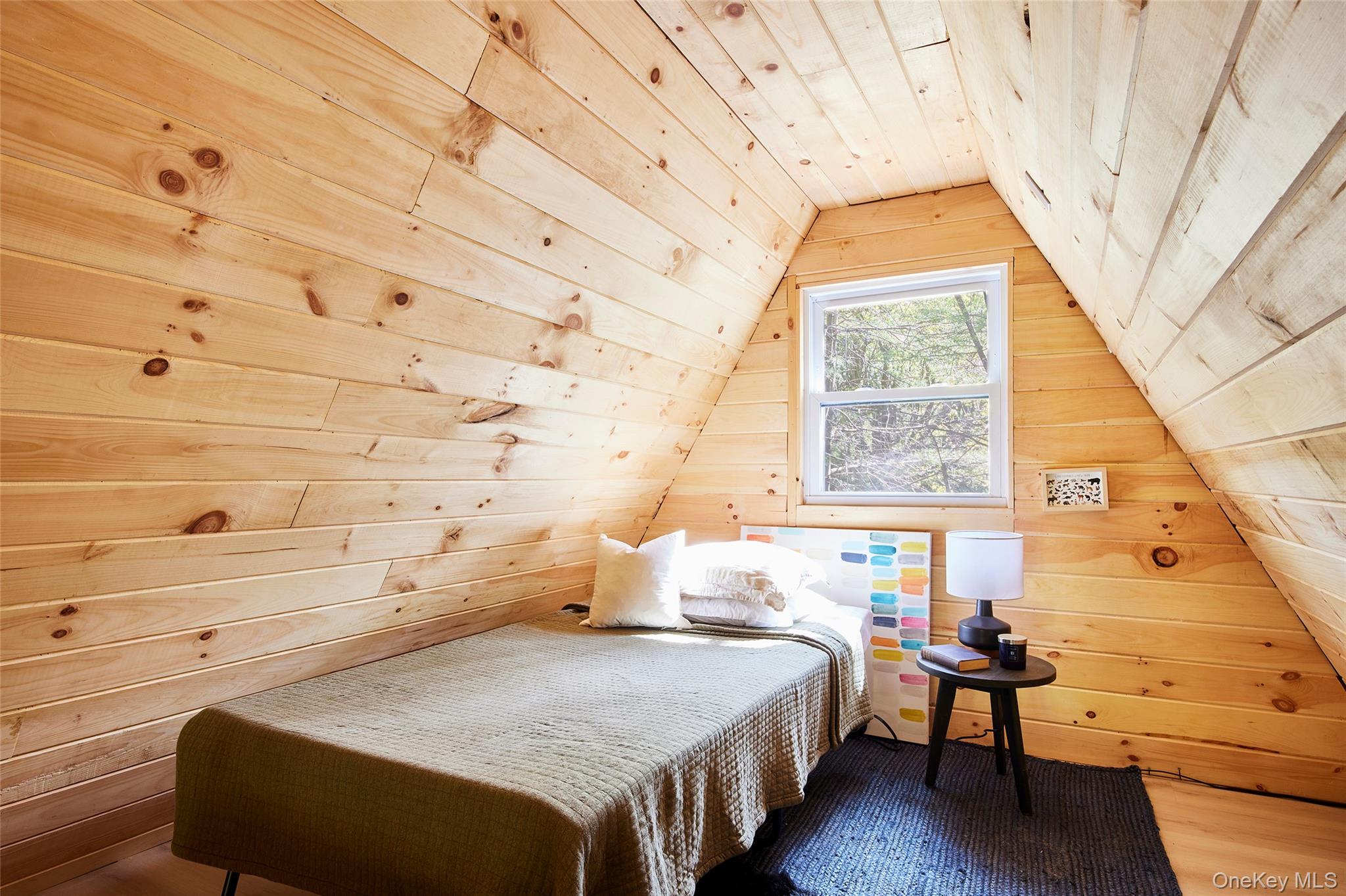 235 Wedemeyer Road, Downsville, NY 13755