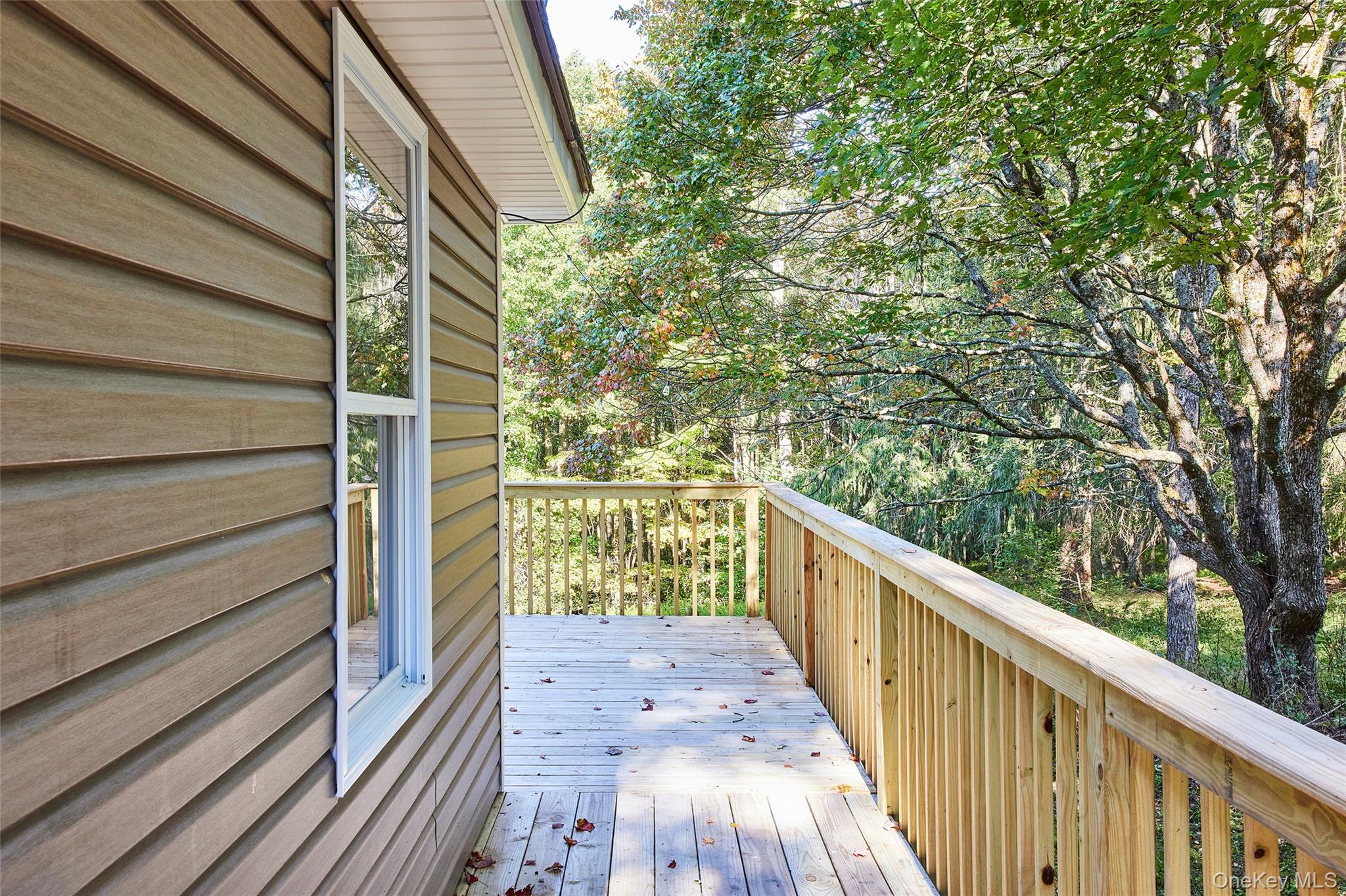 235 Wedemeyer Road, Downsville, NY 13755