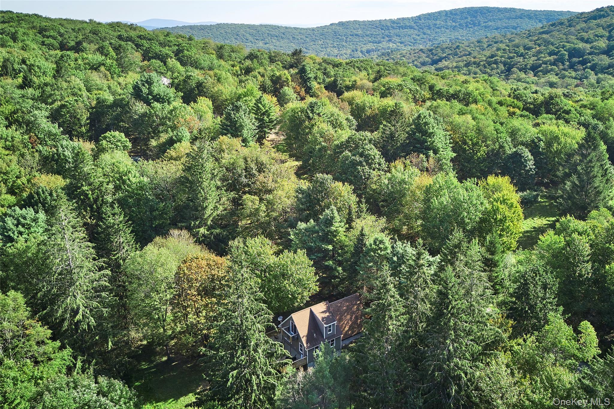 235 Wedemeyer Road, Downsville, NY 13755