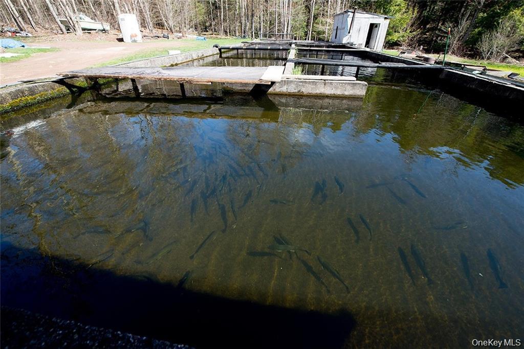 50 Carr Road, Ferndale, NY 12734