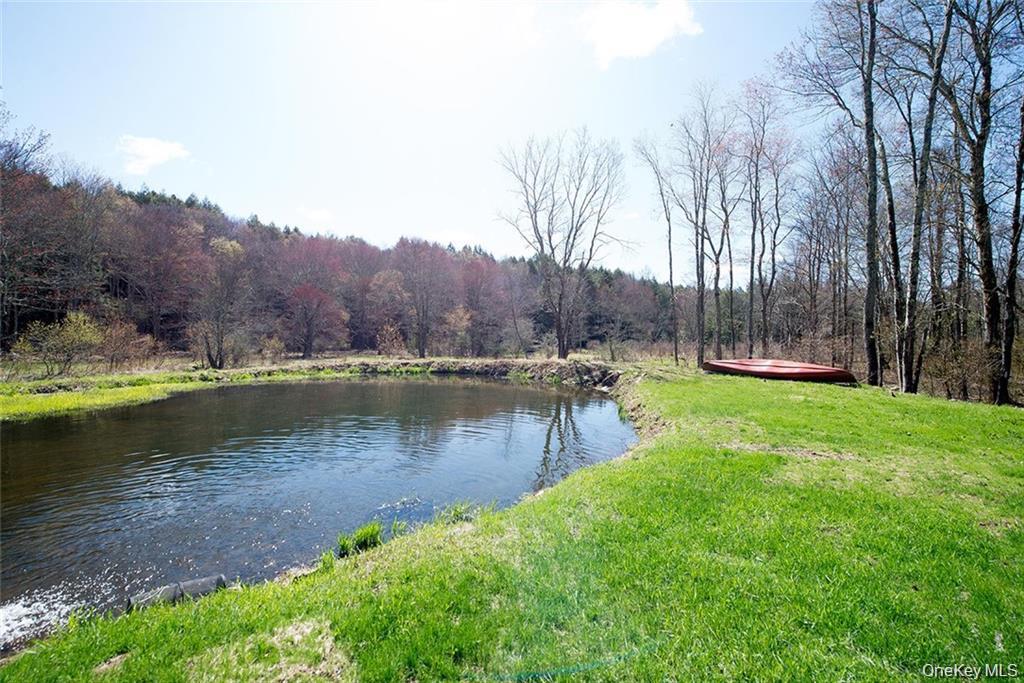 50 Carr Road, Ferndale, NY 12734