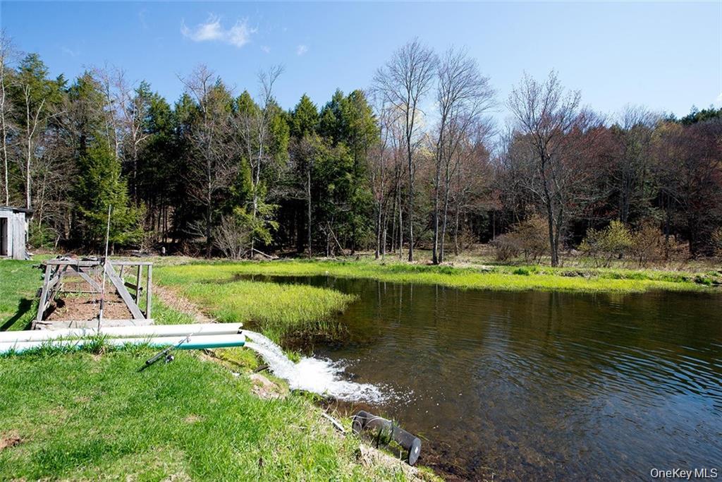 50 Carr Road, Ferndale, NY 12734