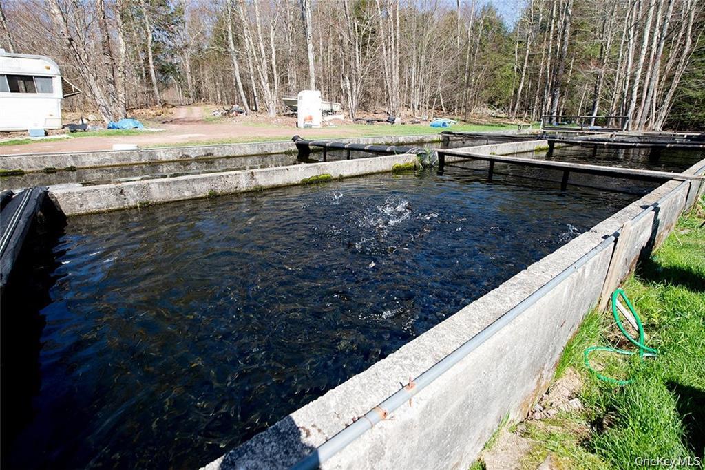 50 Carr Road, Ferndale, NY 12734