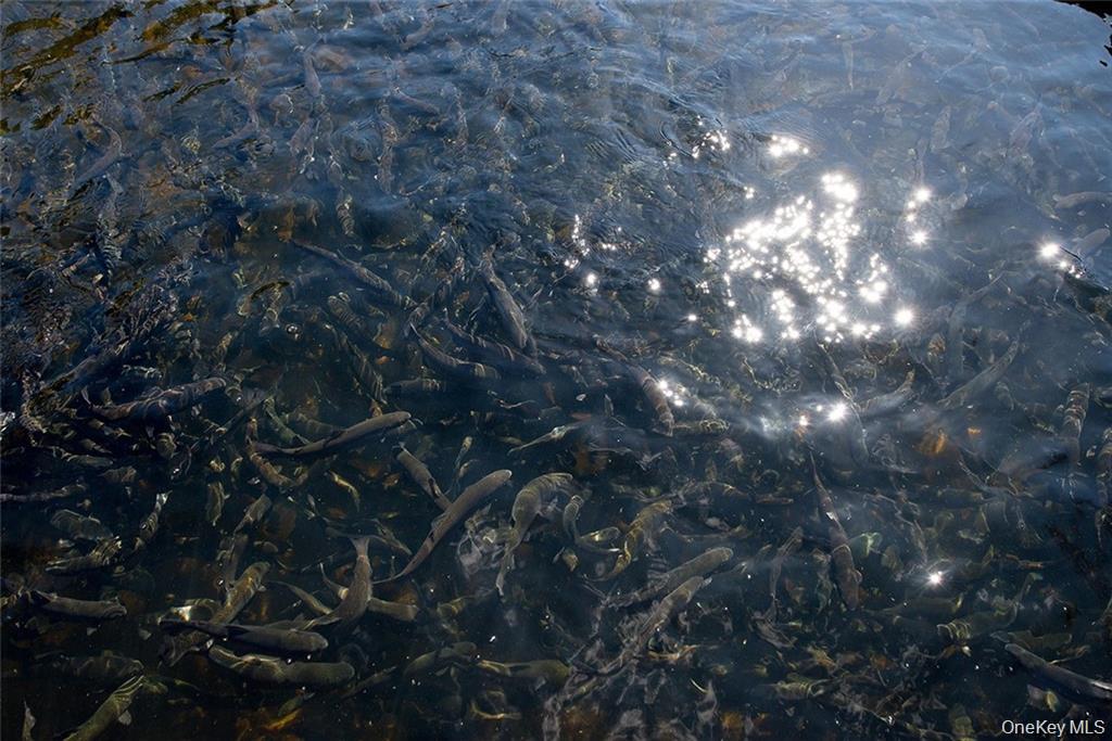 50 Carr Road, Ferndale, NY 12734