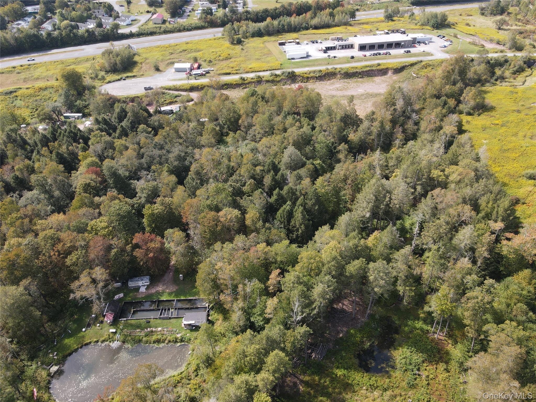 50 Carr Road, Ferndale, NY 12734