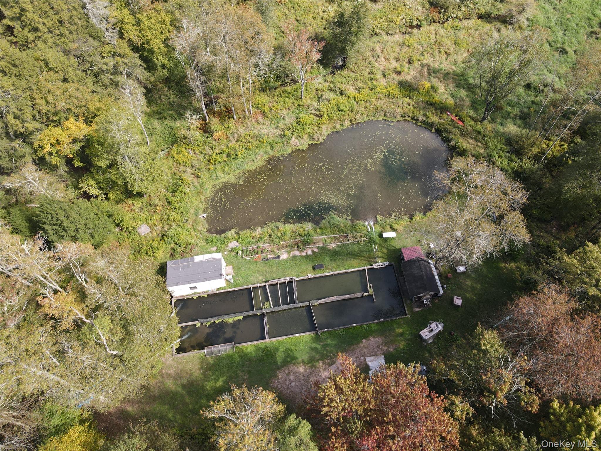 50 Carr Road, Ferndale, NY 12734