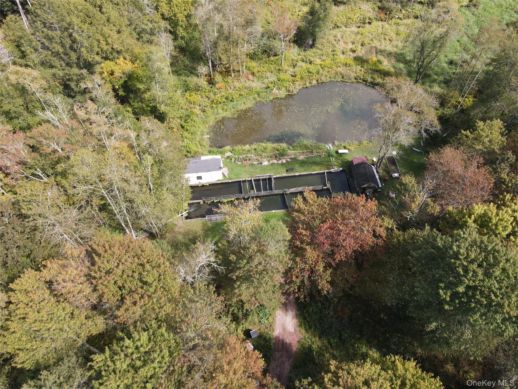 50 Carr Road, Ferndale, NY 12734