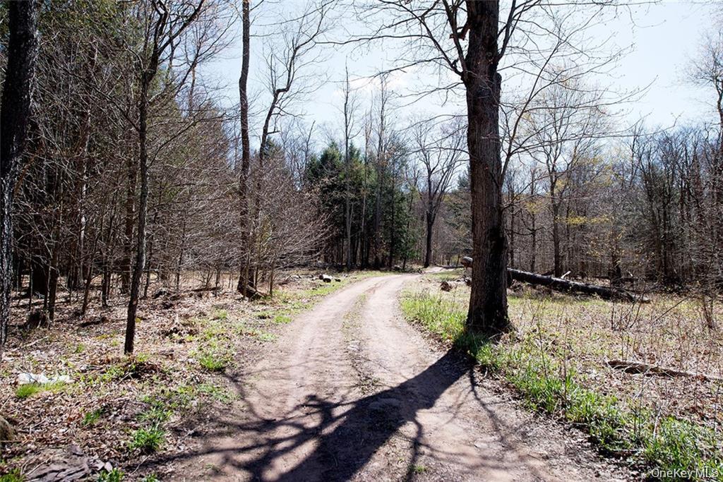 50 Carr Road, Ferndale, NY 12734