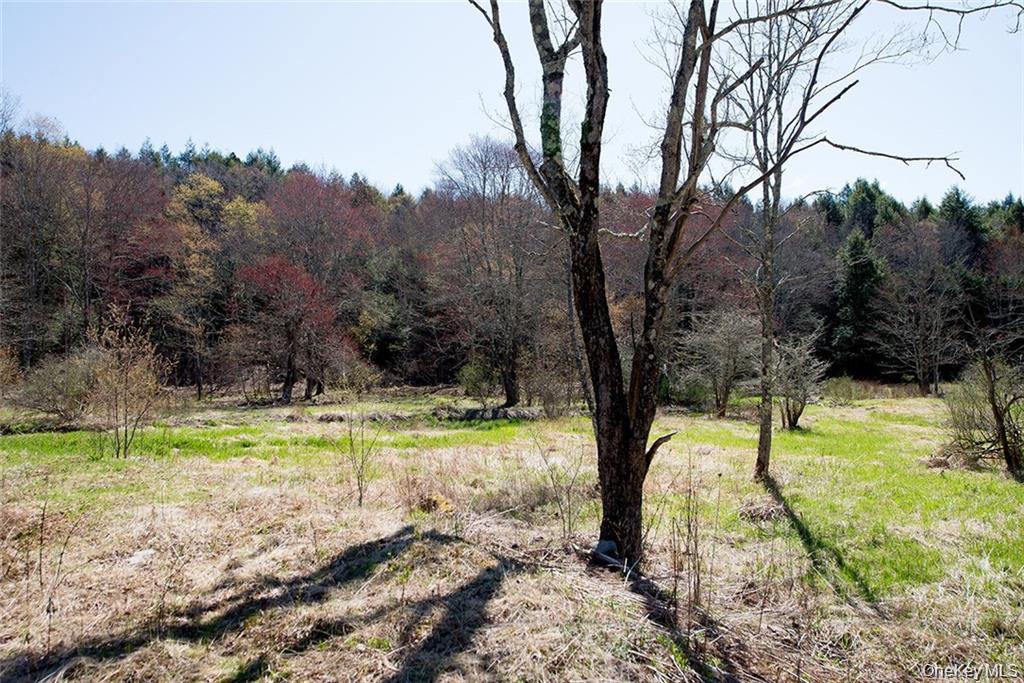 50 Carr Road, Ferndale, NY 12734