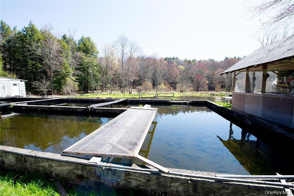 50 Carr Road, Ferndale, NY 12734