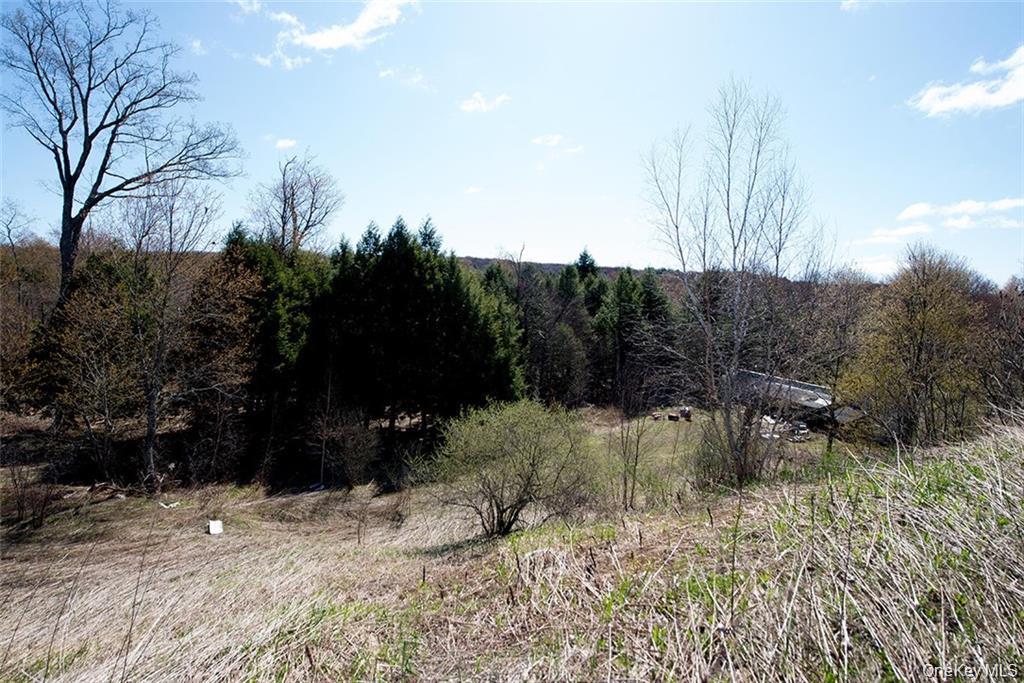 50 Carr Road, Ferndale, NY 12734