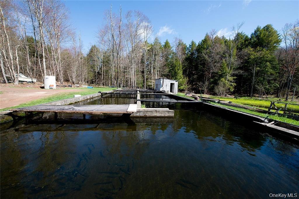 50 Carr Road, Ferndale, NY 12734