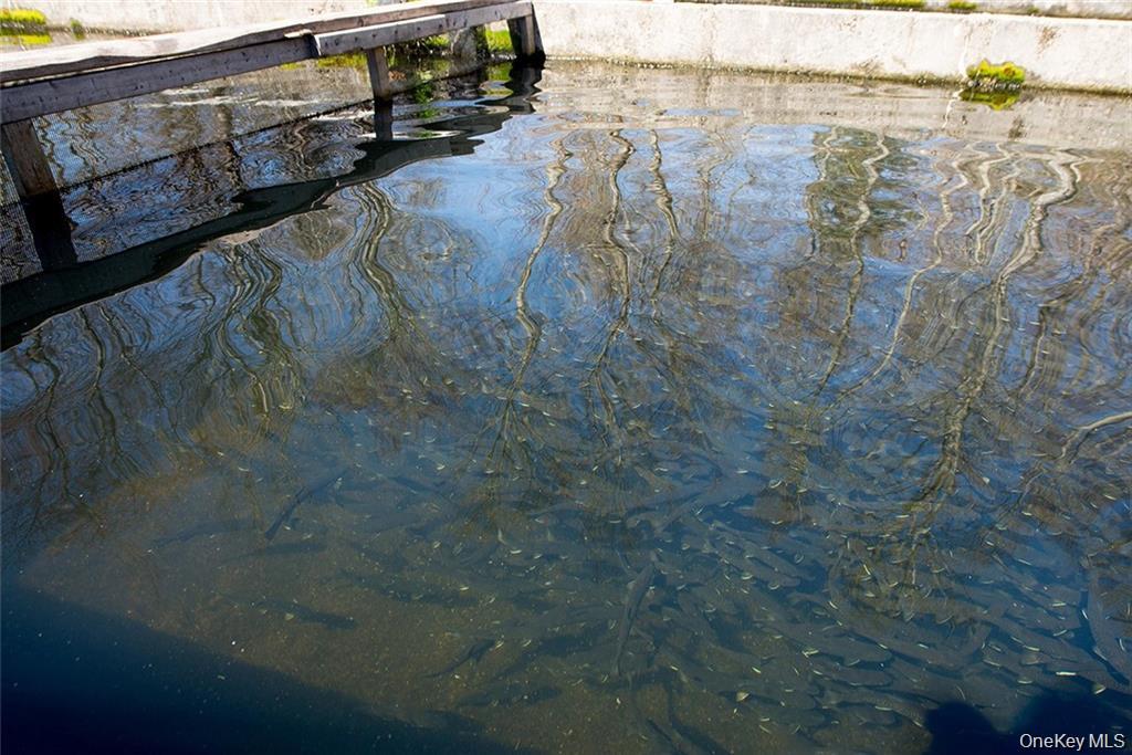 50 Carr Road, Ferndale, NY 12734