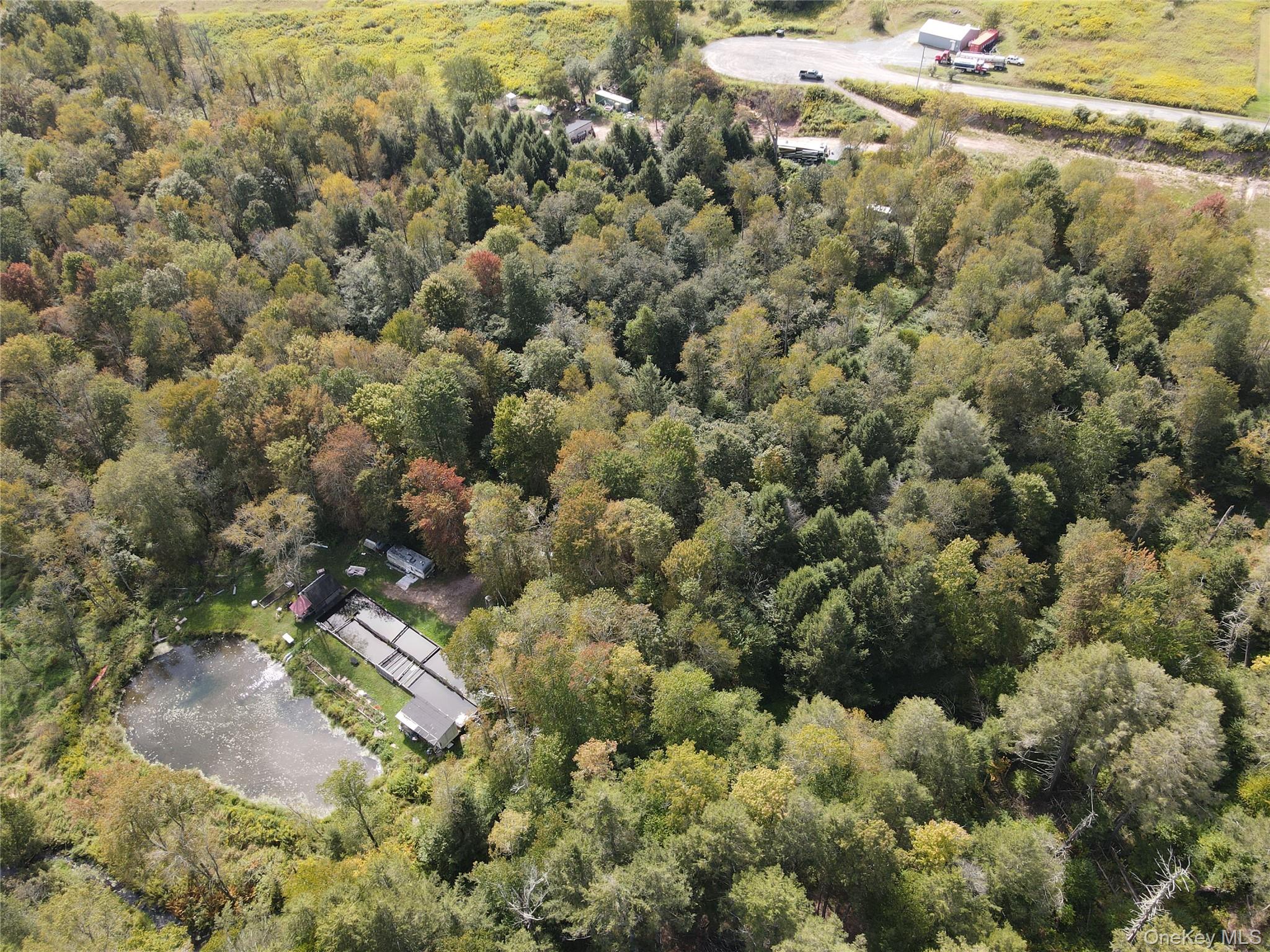 50 Carr Road, Ferndale, NY 12734