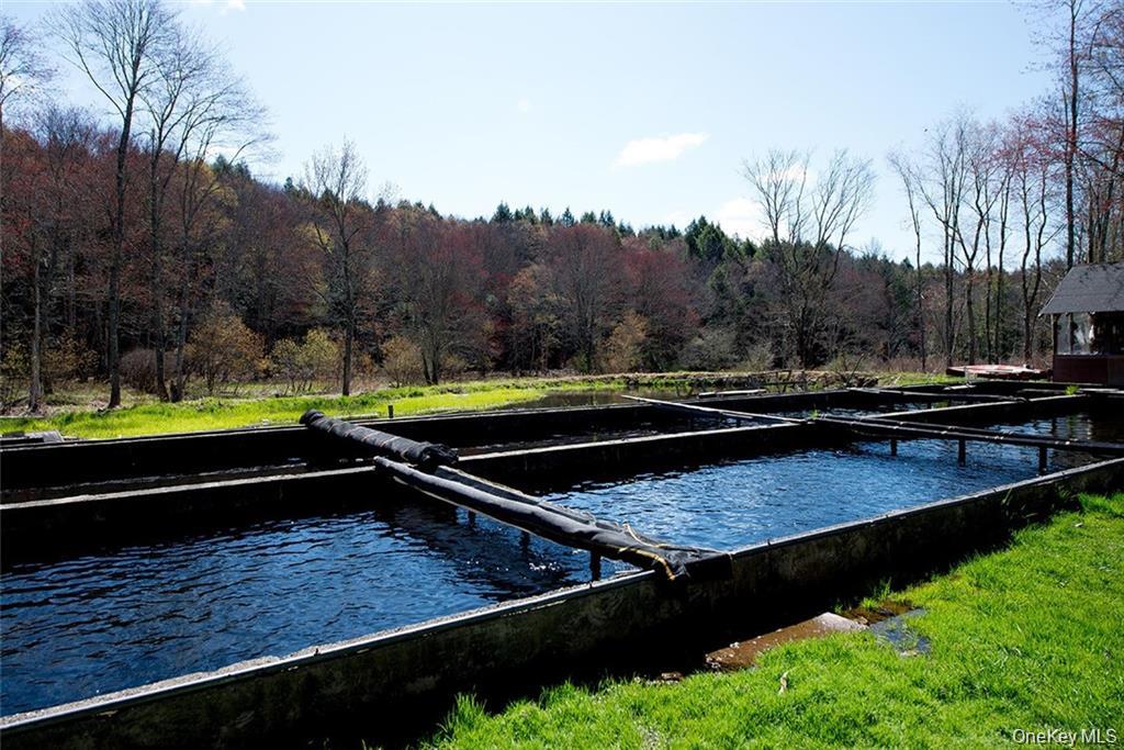 50 Carr Road, Ferndale, NY 12734