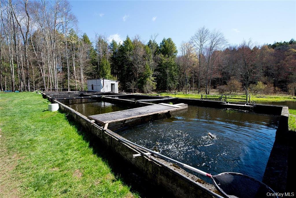 50 Carr Road, Ferndale, NY 12734