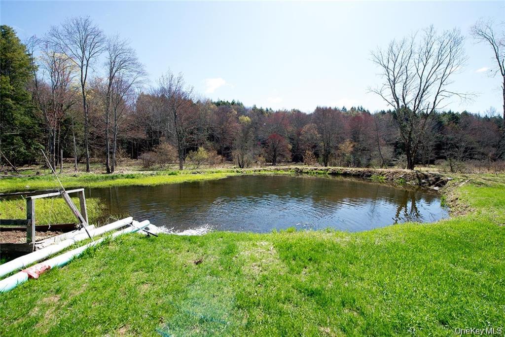 50 Carr Road, Ferndale, NY 12734