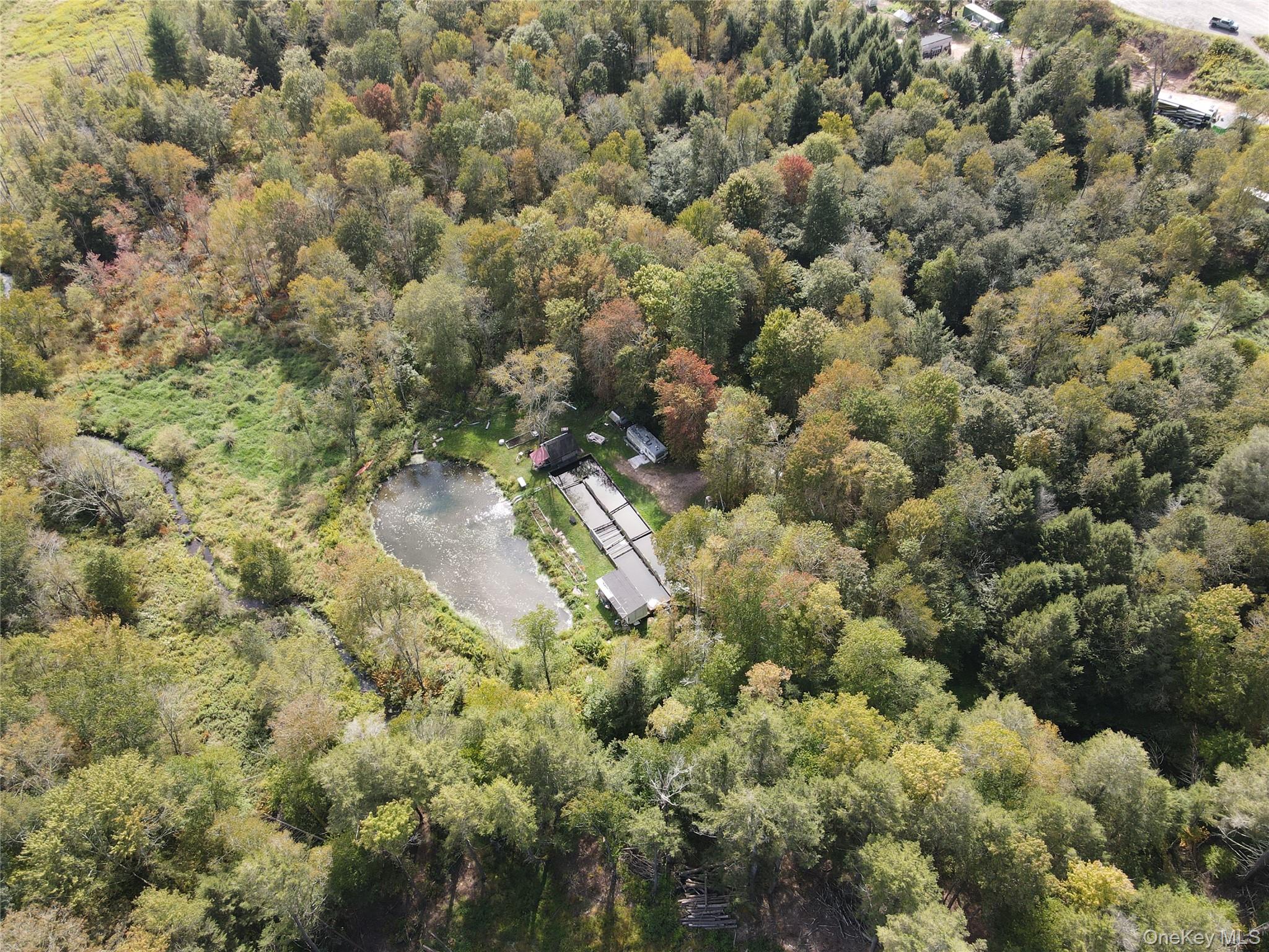 50 Carr Road, Ferndale, NY 12734