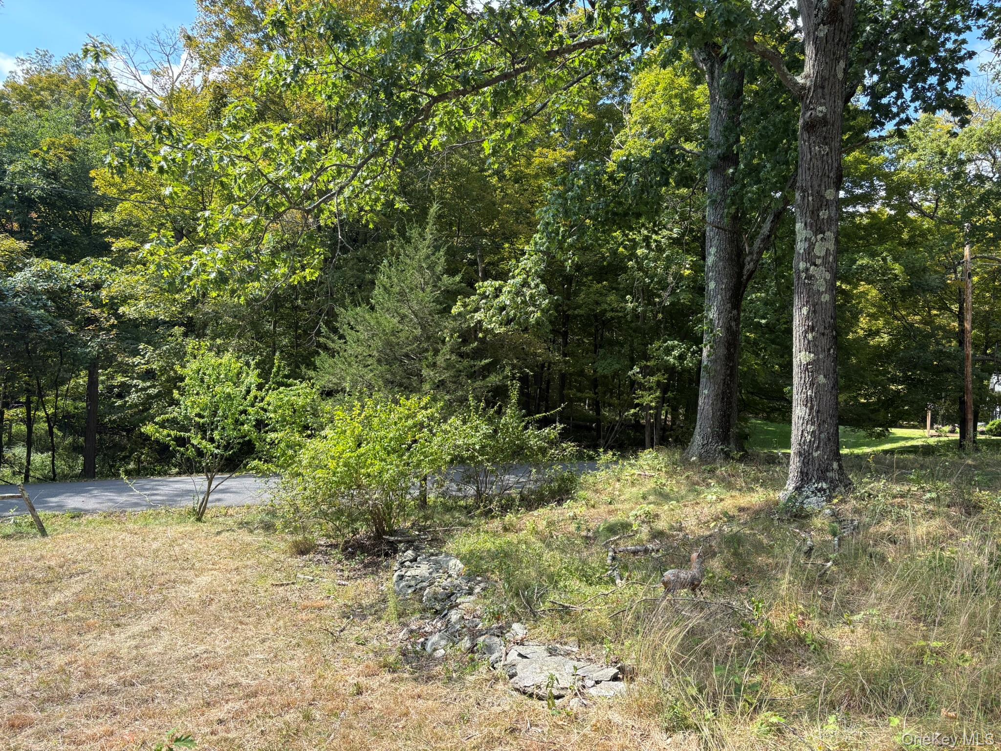 42 E Pond Lilly Road, Ancram, NY 12502