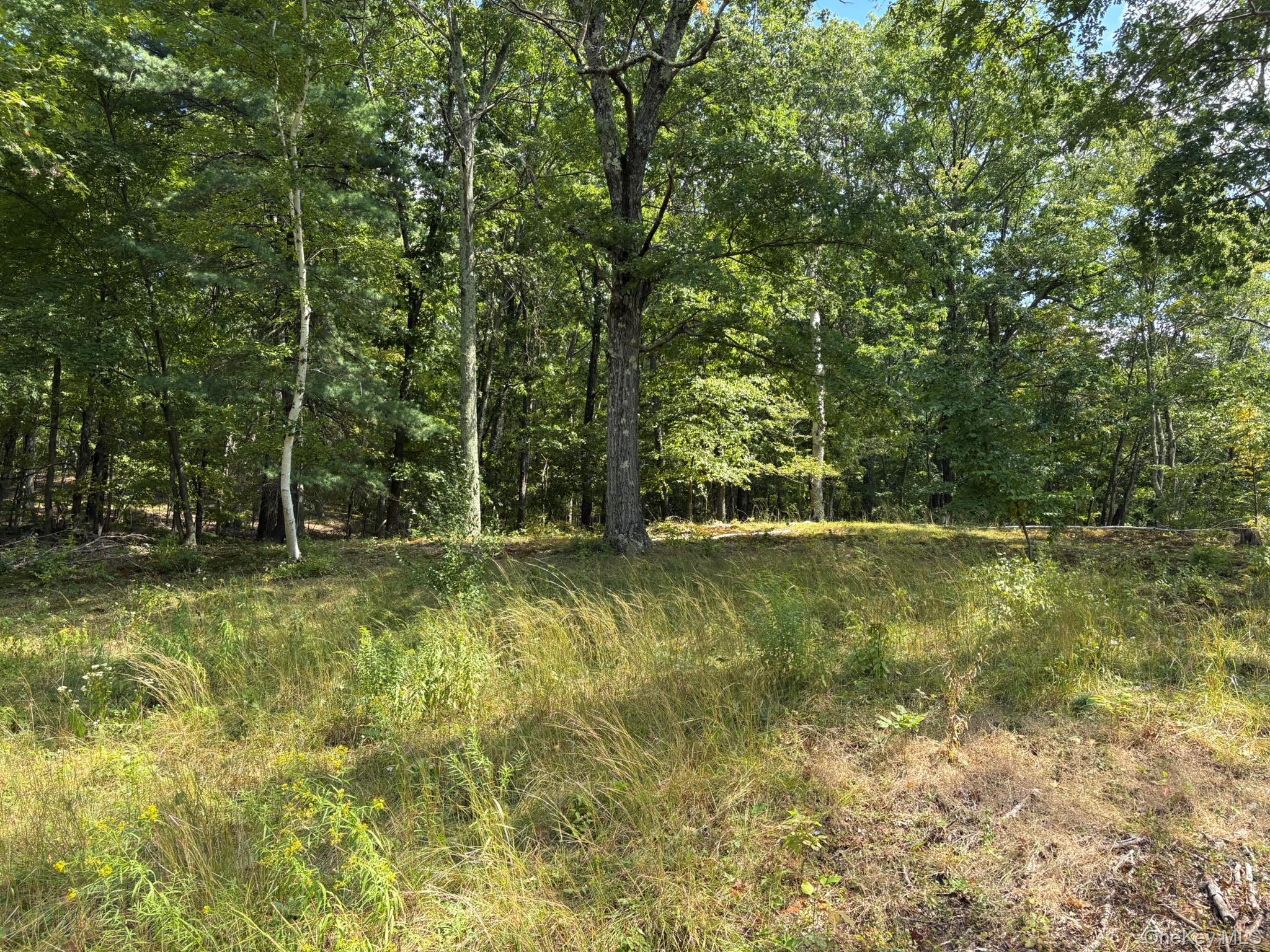 42 E Pond Lilly Road, Ancram, NY 12502