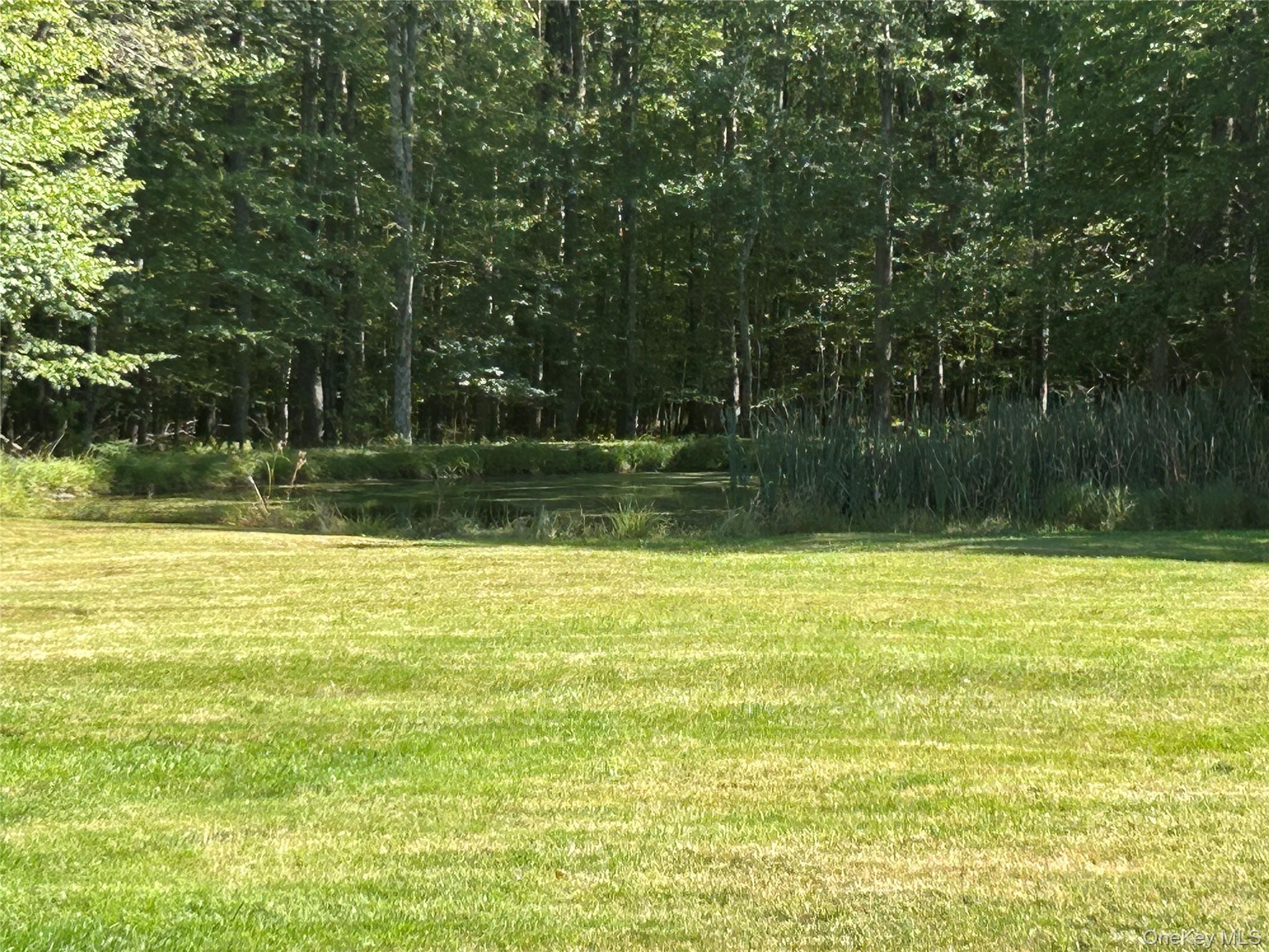 486 County Road 114, Cochecton, NY 12726