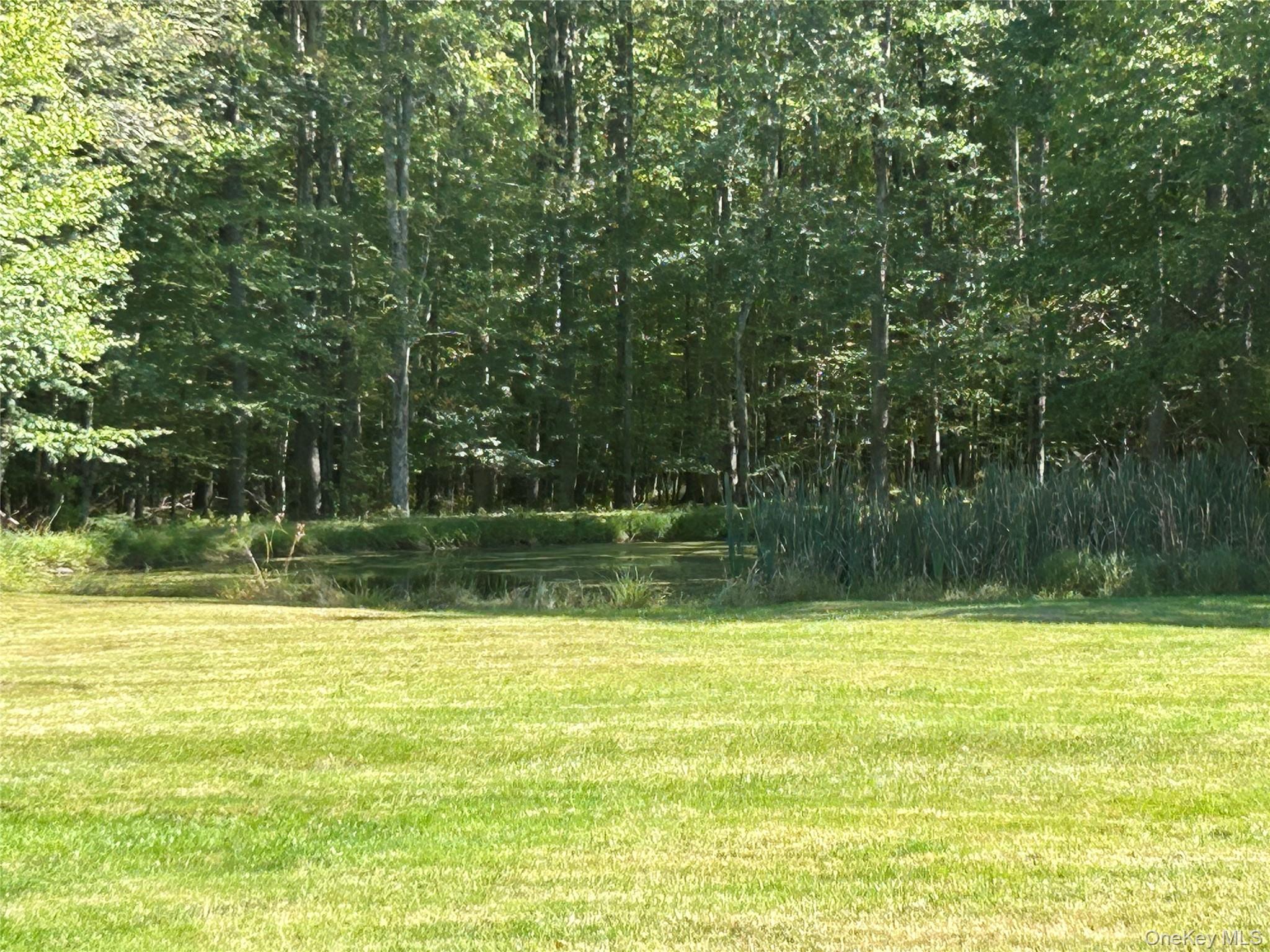 486 County Road 114, Cochecton, NY 12726