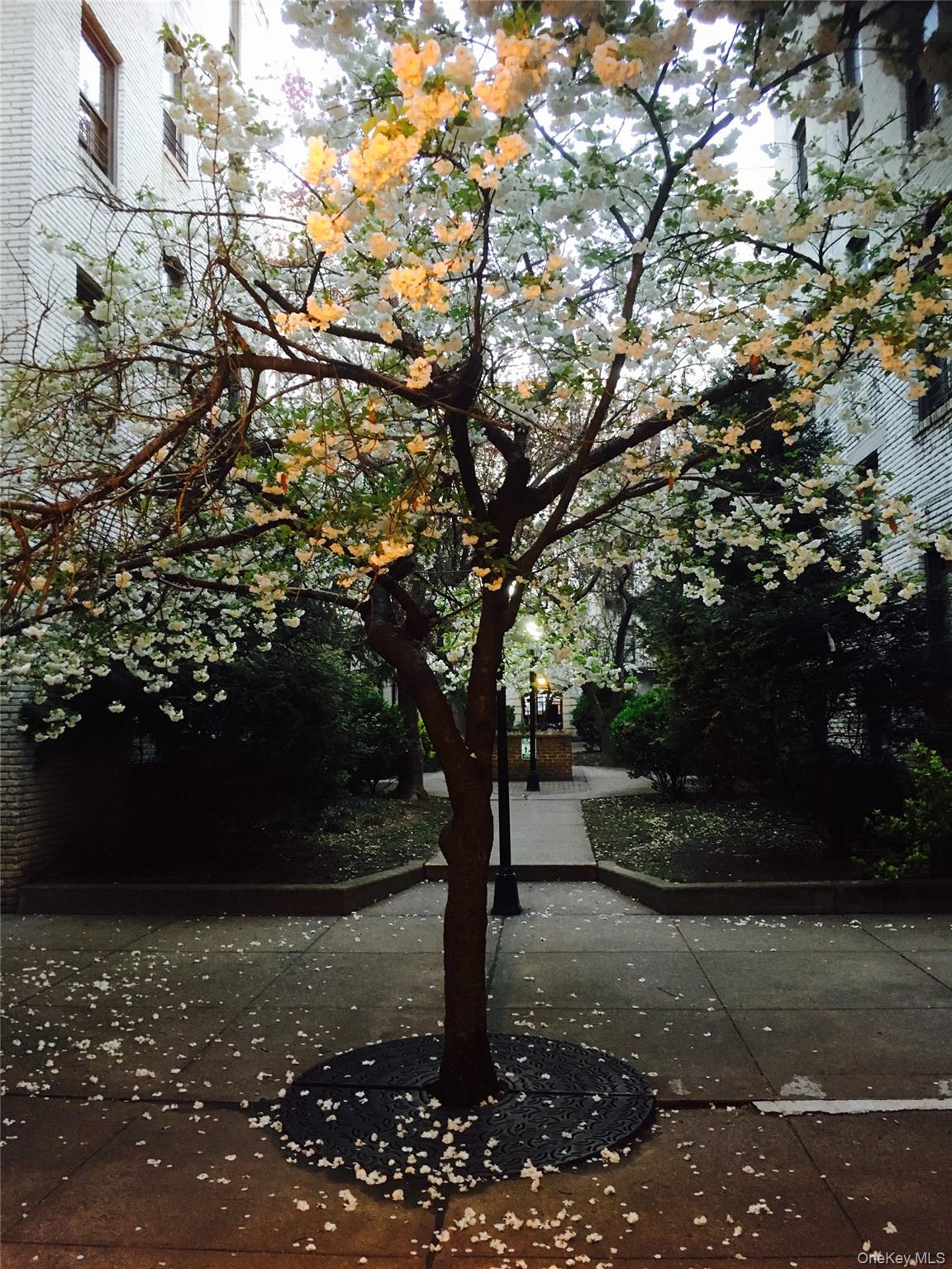 21-28 35th # 2A, Astoria, NY 11105