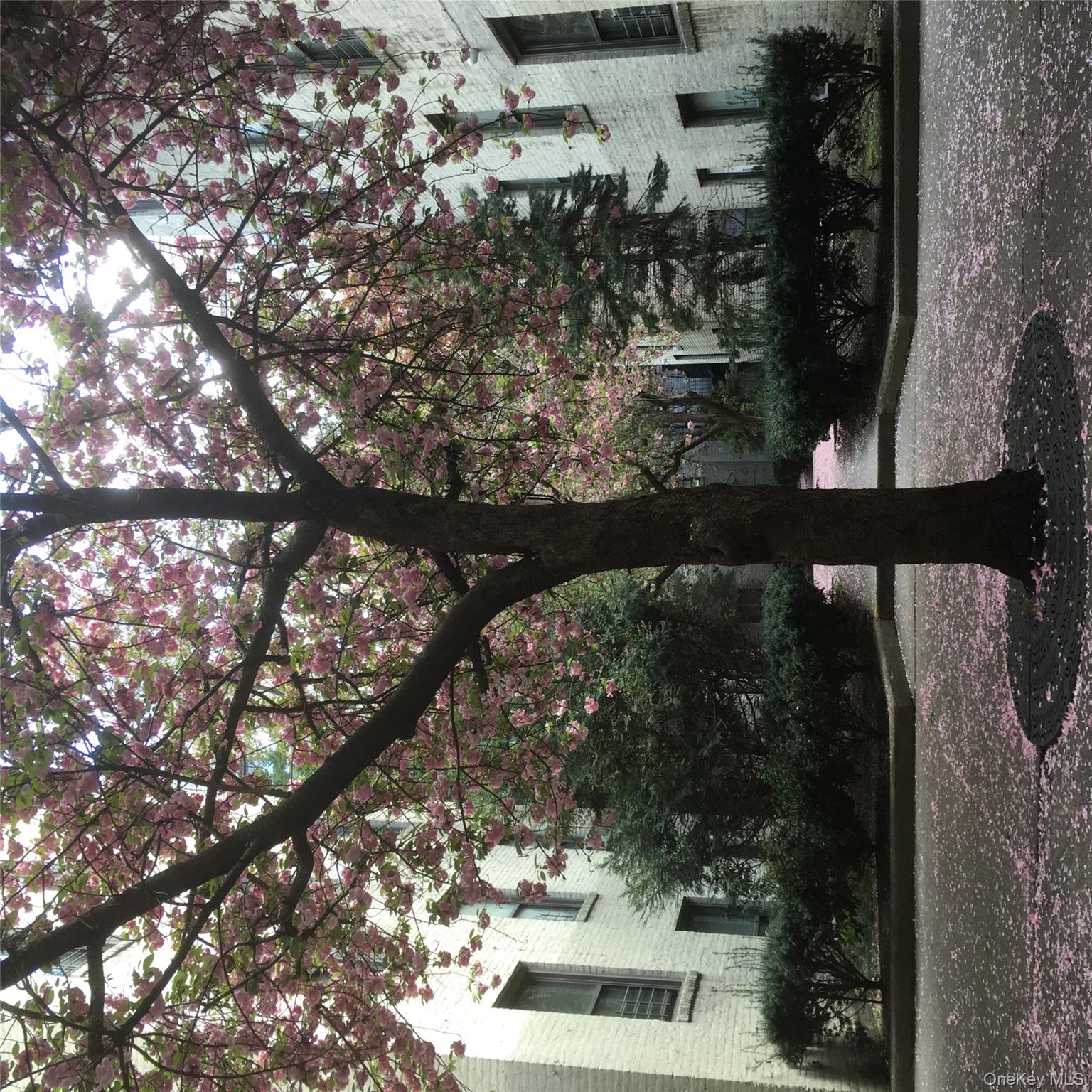 21-28 35th # 2A, Astoria, NY 11105