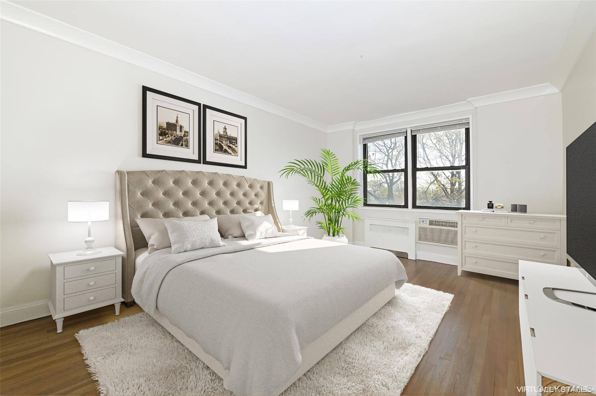 6 Birchwood Court # 4N, Mineola, NY 11501