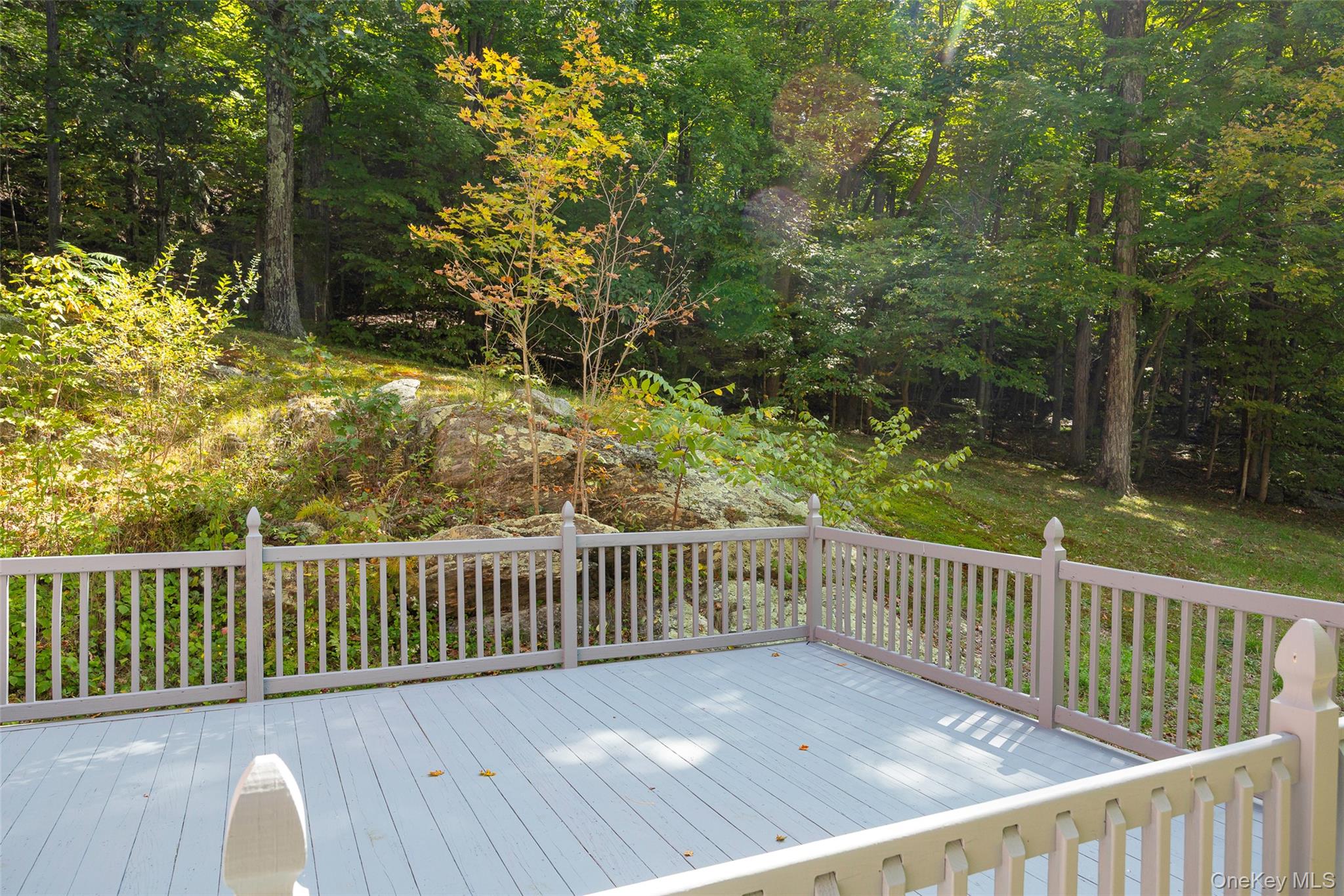 220 W Pond Lily Road, Elizaville, NY 12523