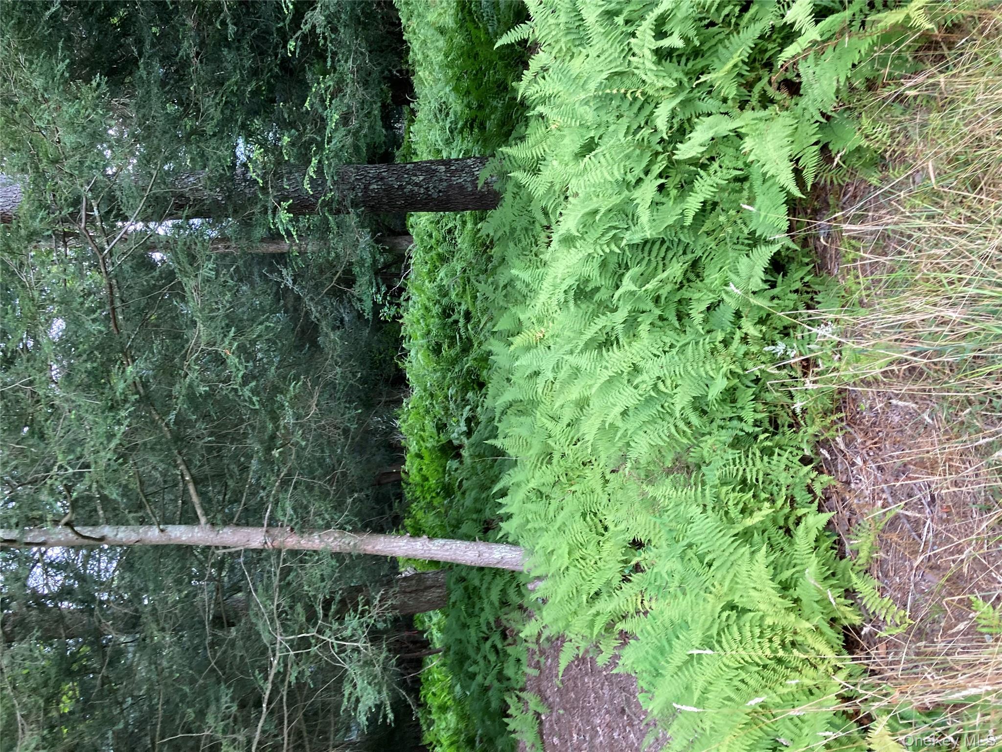 Jaketown Road, Monticello, NY