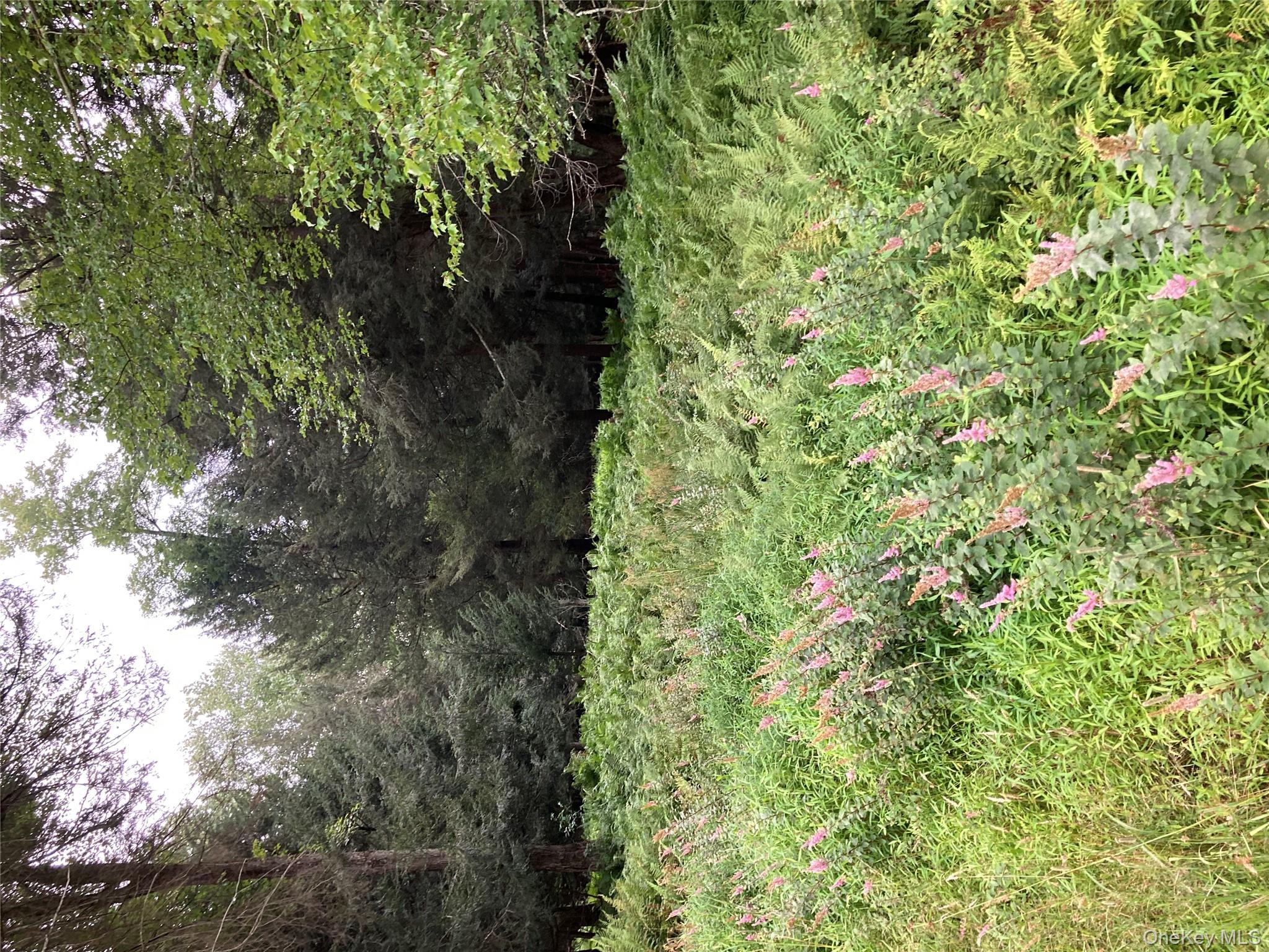 Jaketown Road, Monticello, NY