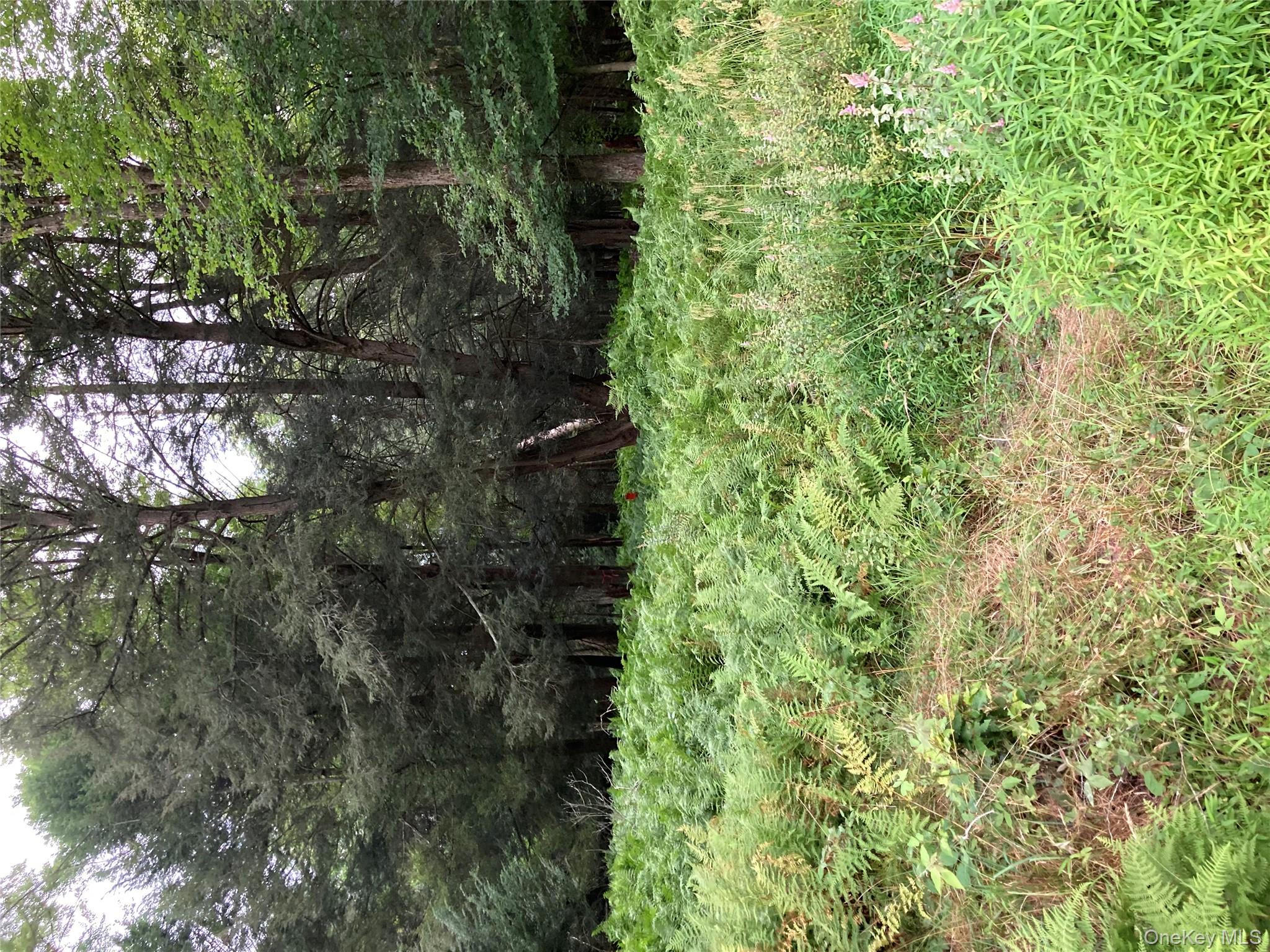 Jaketown Road, Monticello, NY