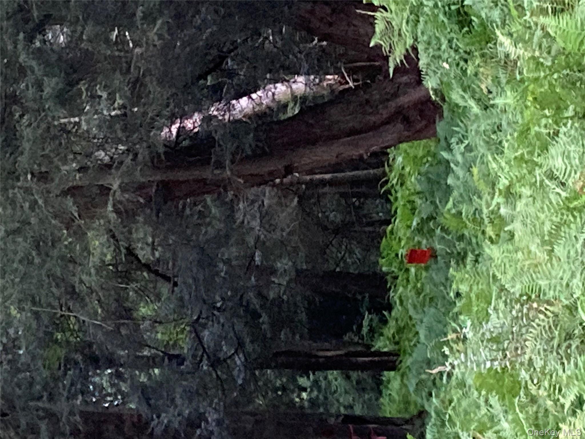 Jaketown Road, Monticello, NY