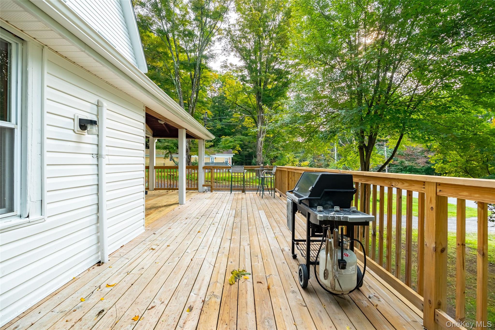 46 Neversink Drive, Port Jervis, NY 12771