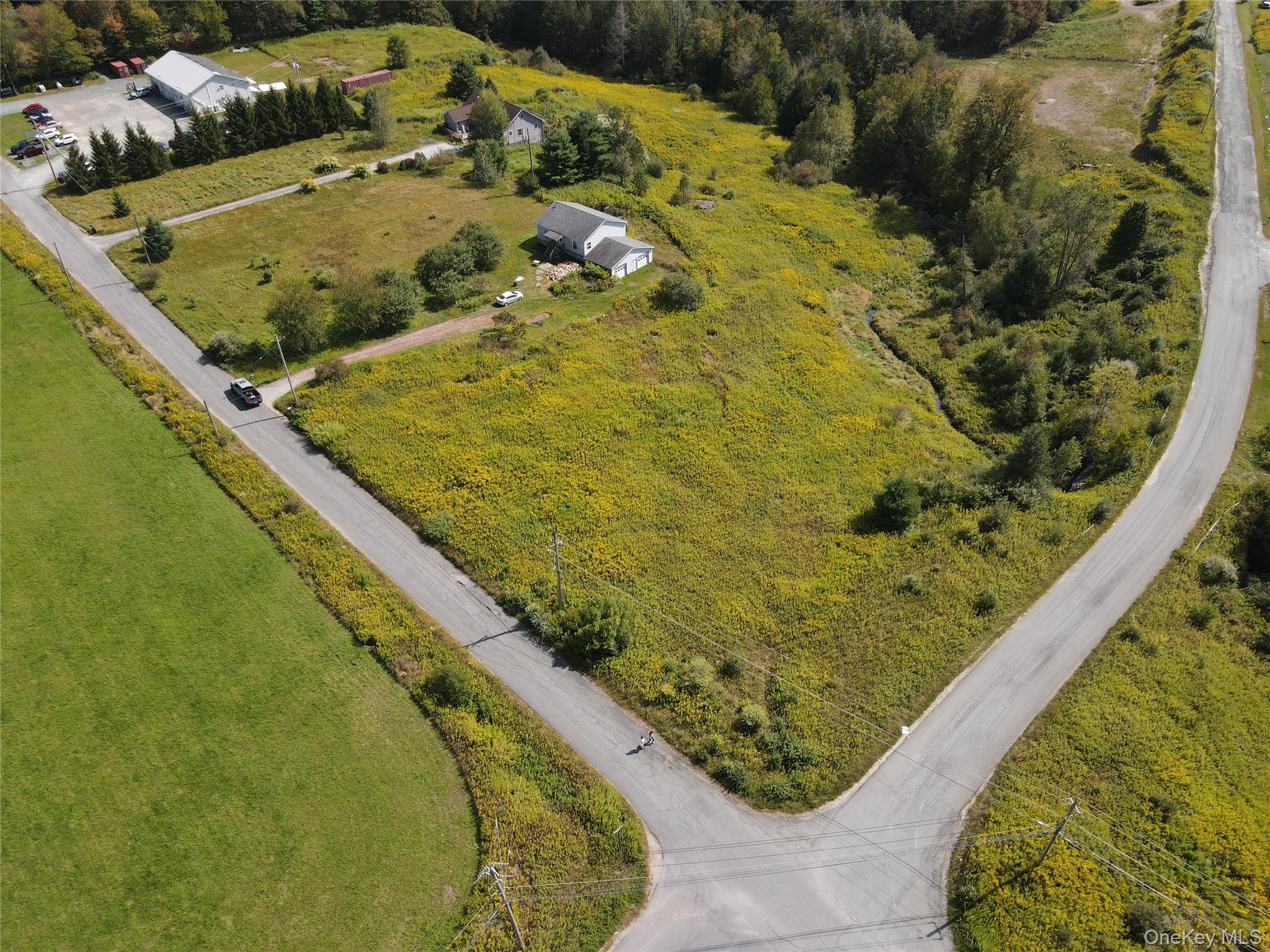 9 Queen Mountain Road # 64, Ferndale, NY 12734