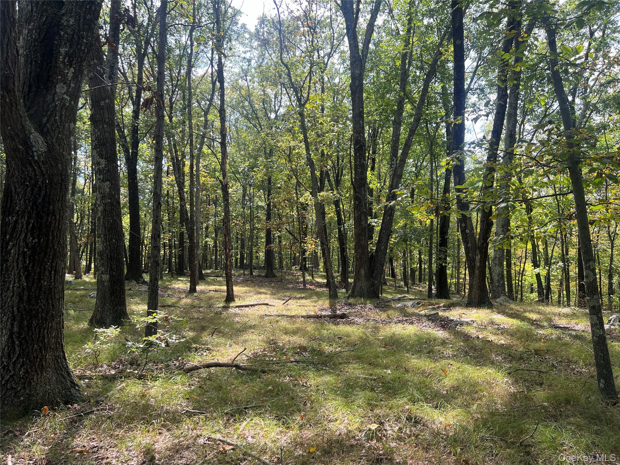 33 Raspberry Lane, Carmel, NY 10512