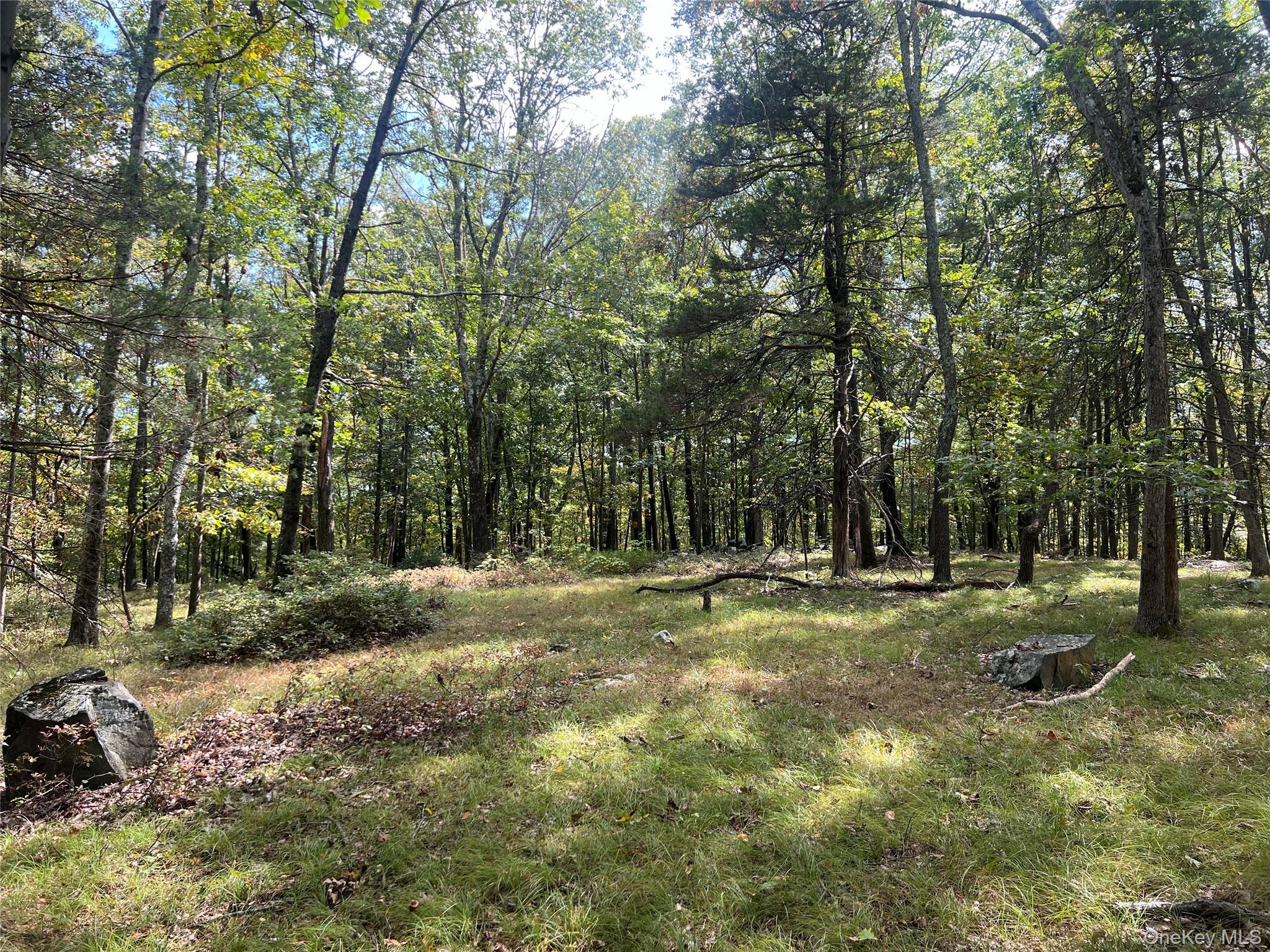 33 Raspberry Lane, Carmel, NY 10512