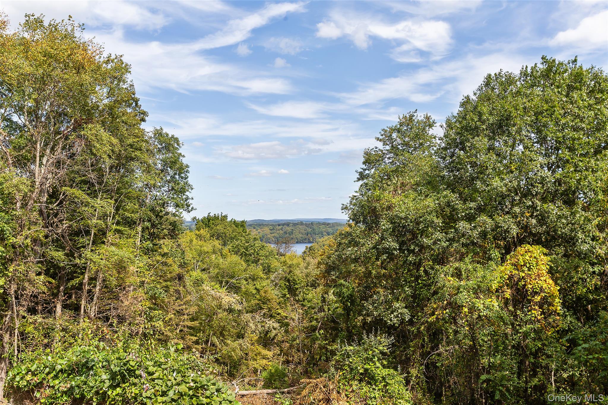 33 Raspberry Lane, Carmel, NY 10512