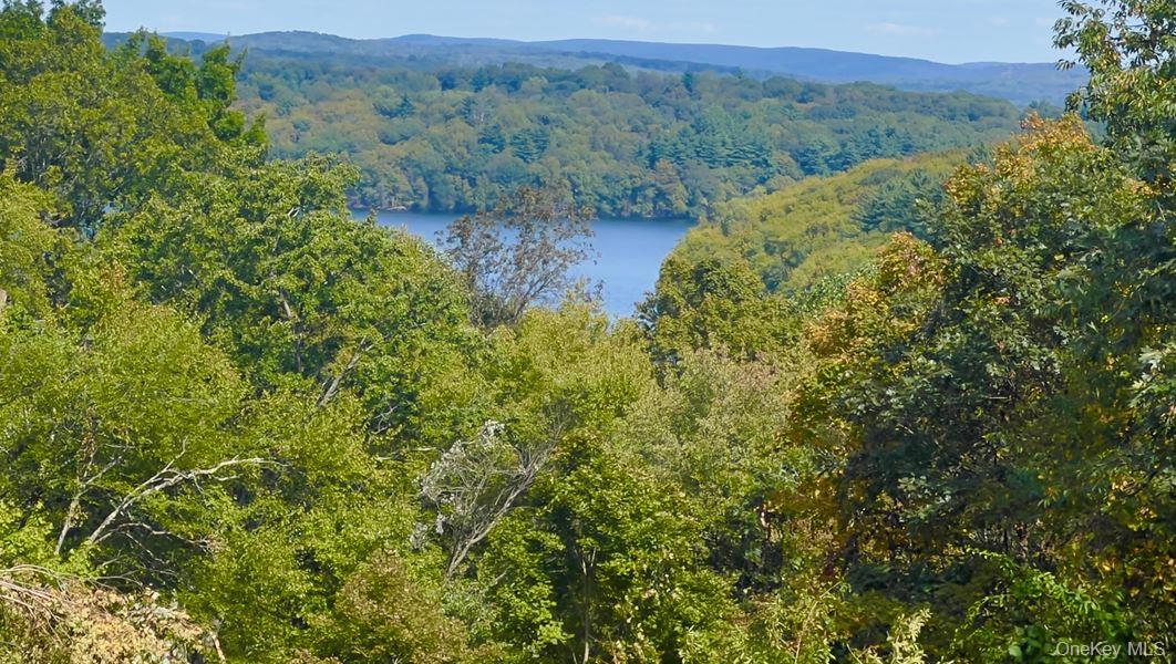 33 Raspberry Lane, Carmel, NY 10512